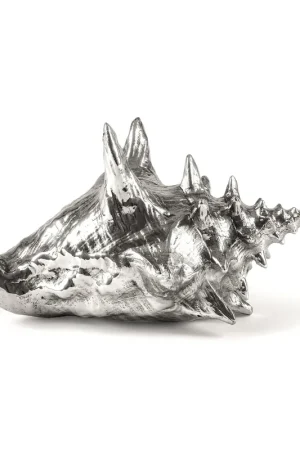 Wundekammer Shell Esclusivo