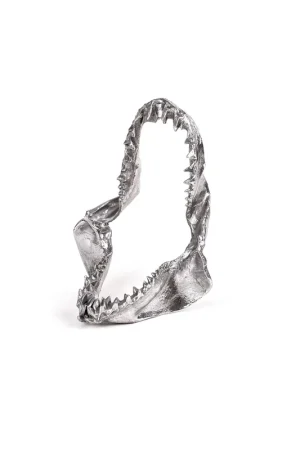 Wunderkammer Shark Jaw Compra Oggi Stesso