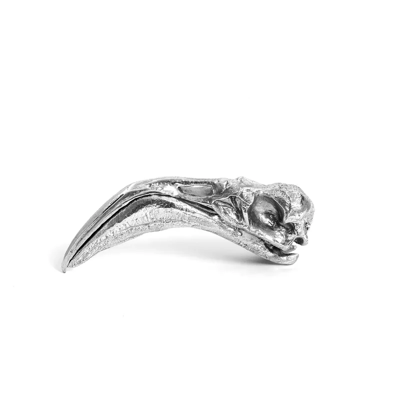 Wunderkammer Flamingo Skull Ultima Occasione