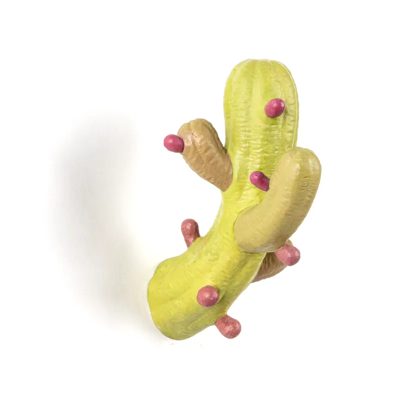 Nuova Collezione Cactus Colorato