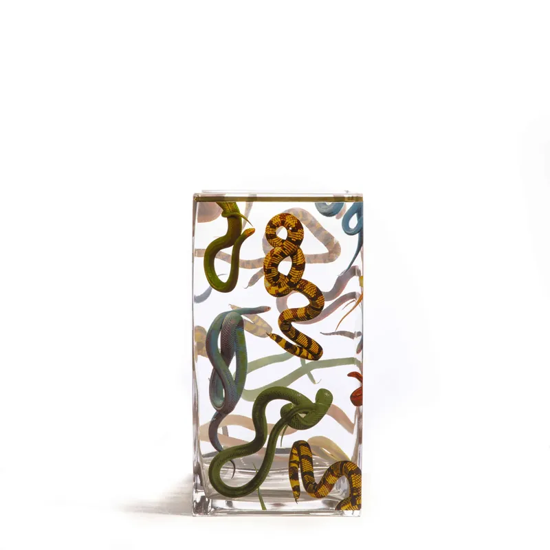 Promo Stagionale Vaso in Vetro Snakes Grande