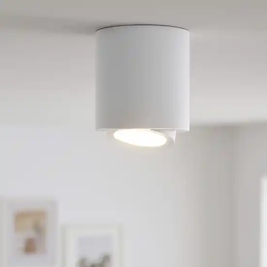 Scelto Dai Clienti Faretto da soffitto orientabile cilindro bianco gea luce