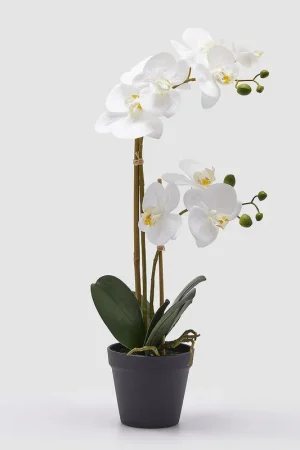 Pianta artificiale Orchidea con vaso Quantità Limitata