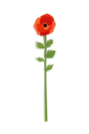 A Buon Prezzo Fiore di papavero in plexiglass per vaso