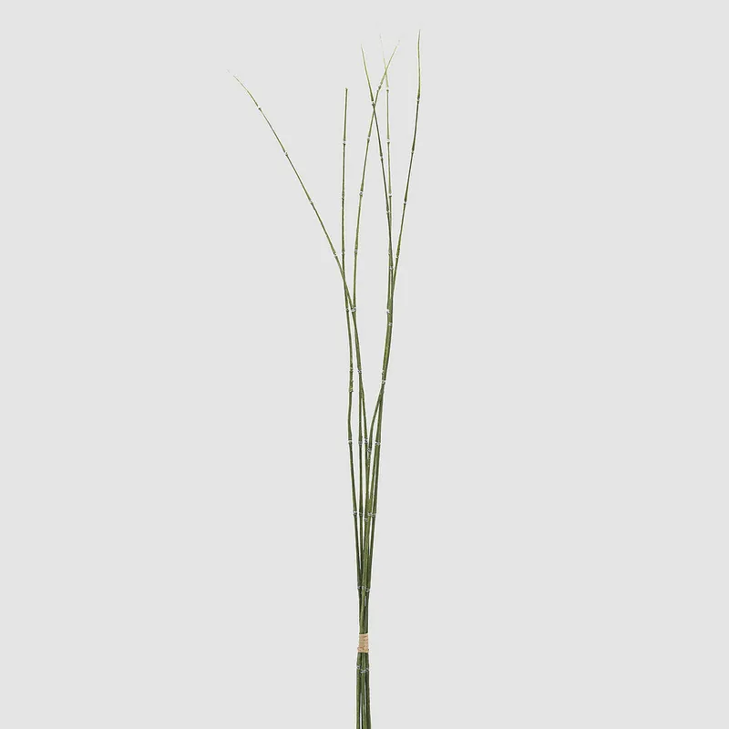 Offerta Speciale Pianta artificiale Mazzo di Equisetum