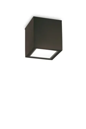 Plafoniera da esterno in alluminio con diffusore in vetro - 20W - IP54 Spedito Oggi