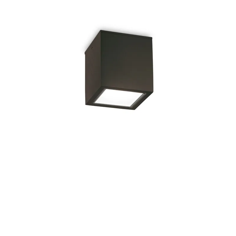 Plafoniera da esterno in alluminio con diffusore in vetro - 20W - IP54 Spedito Oggi