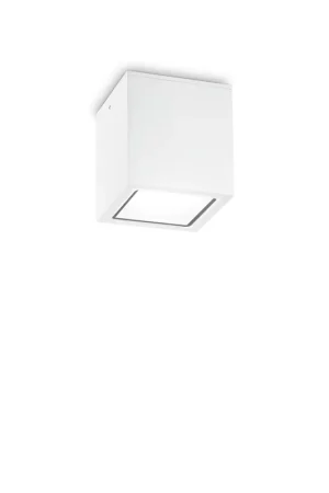 Plafoniera da esterno in alluminio con diffusore in vetro - 20W - IP54 Pagamento Sicuro