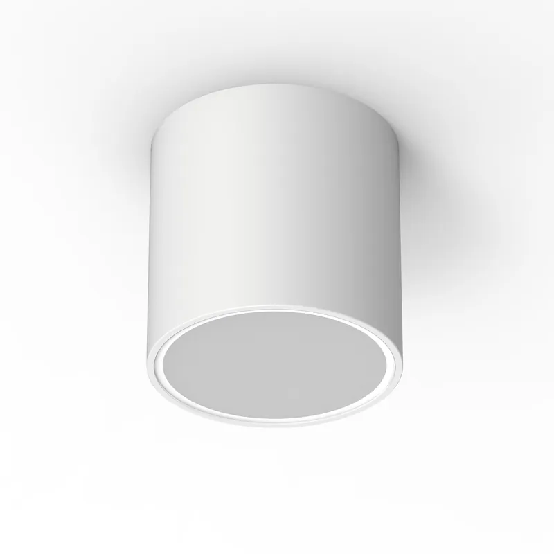 Popolare Plafoniera da esterno grande in alluminio con diffusore in vetro rotondo - 20W - IP54
