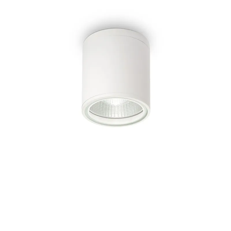 Pagamento Sicuro Plafoniera da esterno con struttura in alluminio e diffusore in vetro - 28W - IP55