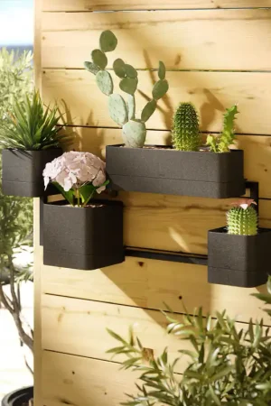Vaso per fiori e piante Esclusivo
