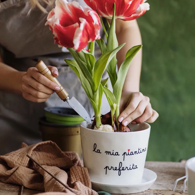 Vaso in gres ideale per piante aromatiche e decorazioni green Economico