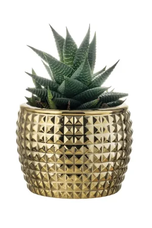 Acquista Ora Vaso in marmorino grande dal design elegante