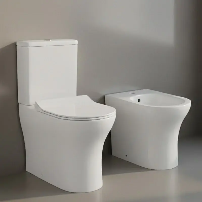 Direttamente Dal Produttore Sanitari filo muro monoblocco in ceramica bianca con sedile soft close Sara