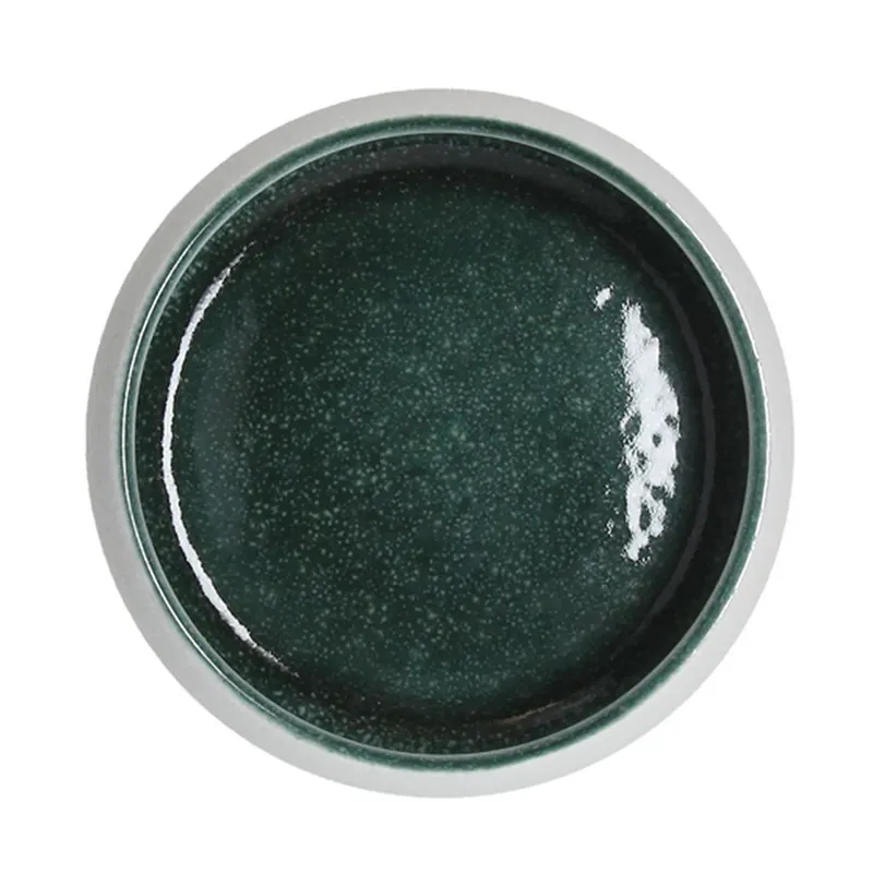 Tognana Professional Bowl in Porcellana D20 cm White Teal Solo Oggi