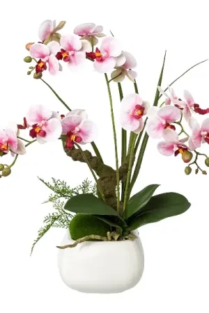 Gasper Orchidea Phalaenopsis con vaso in ceramica H46 cm 3 Fiori Rosa Sconto