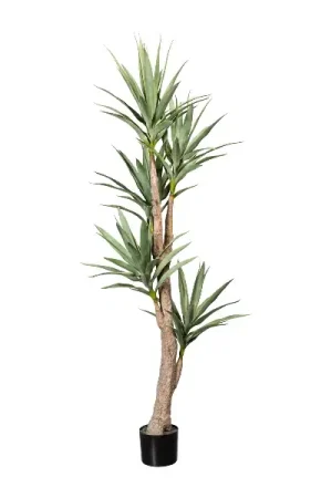 Economico Gasper Pianta Artificiale Dracena Imperial 5 Rami con Vaso H180 cm