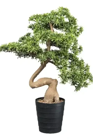 Gasper Bonsai Artificiale di Pino con Vaso in pvc 90x60 cm Direttamente Dal Produttore