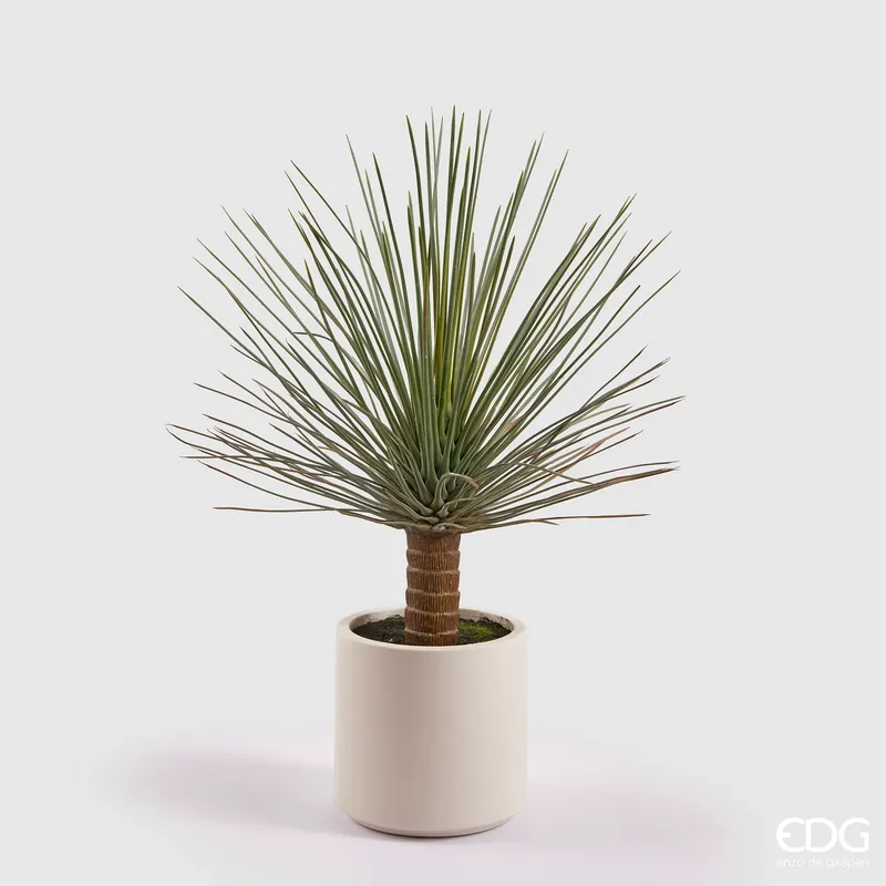 Pagamento Sicuro EDG Enzo De Gasperi pianta Yucca Con Vaso in Ceramica H99 cm