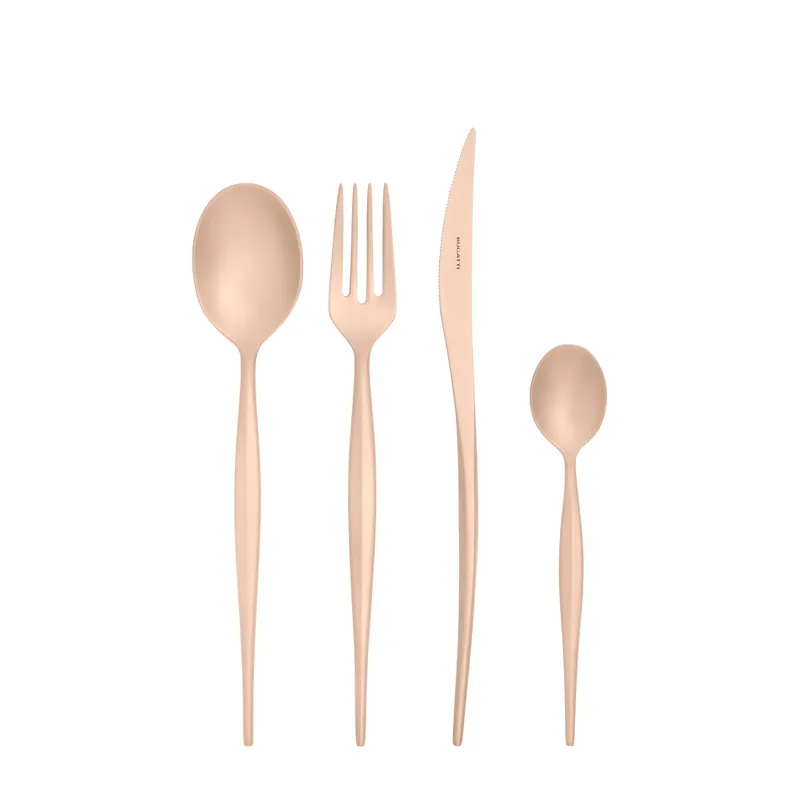 Promozione Esclusiva Bugatti Servizio di Posate 24 Pezzi Natura Inox Brozno Finitura PVD Sabbiato