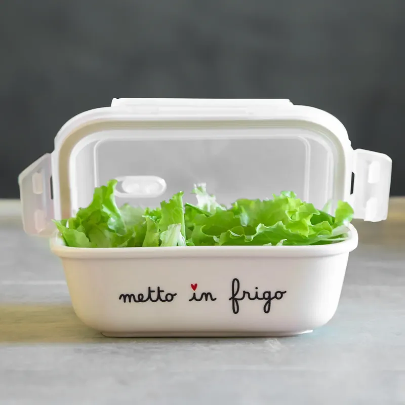 Pagamento Sicuro Simple Day Contenitore Per Alimenti Metto in Frigo M 16x12 cm