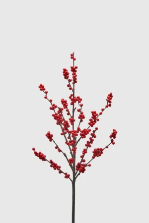 Acquista Ora EDG Enzo De Gasperi Ramo Artificiale Ilex 60 cm