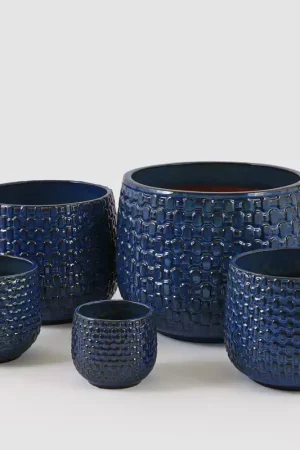 EDG Enzo De Gasperi Offerta Set 5 Vasi Cachepot Bombati Blue Professionale