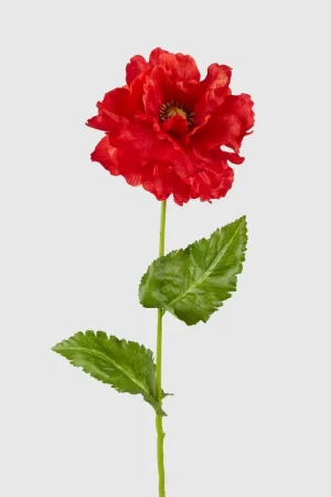Acquista Ora EDG Enzo De Gasperi Ramo Papavero con Foglie H80 cm Rosso