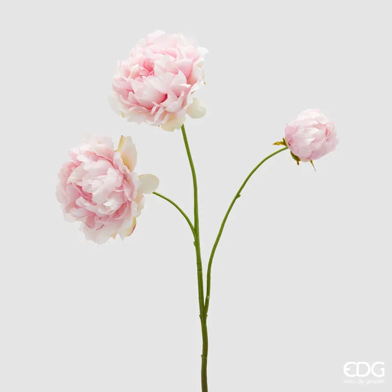EDG Enzo De Gasperi Ramo di Peonia H67 cm Rosa Quantità Limitata
