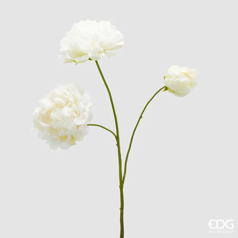 Miglior Prezzo EDG Enzo De Gasperi Ramo di Peonia H67 cm Avorio