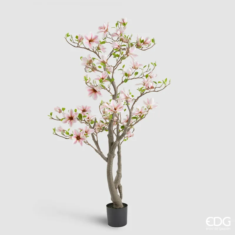 EDG Enzo De Gasperi Pianta Artificiale di Magnolia con Foglie H180 cm Compra Adesso