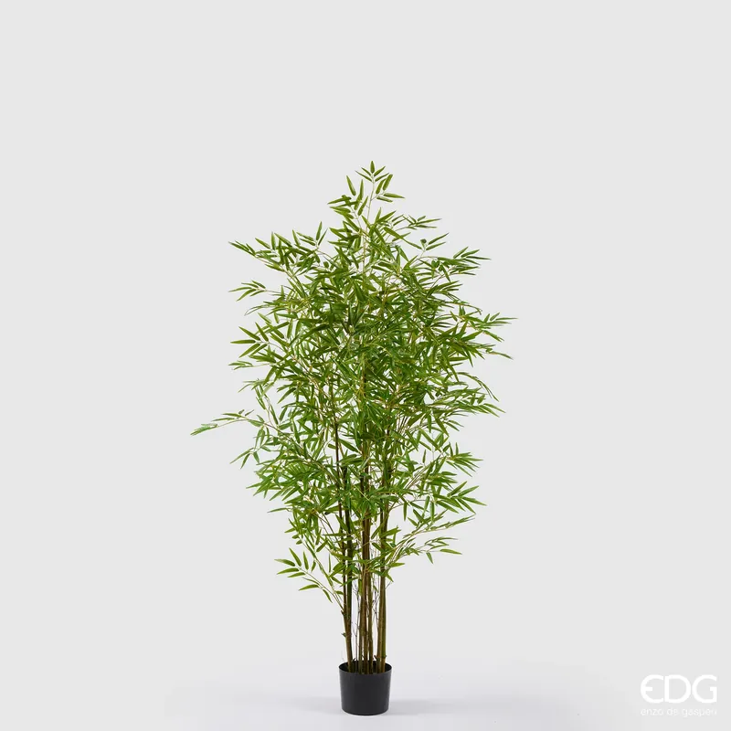 Offerta Lampo EDG Enzo De Gasperi Pianta Bamboo con vaso H 150 cm Verde
