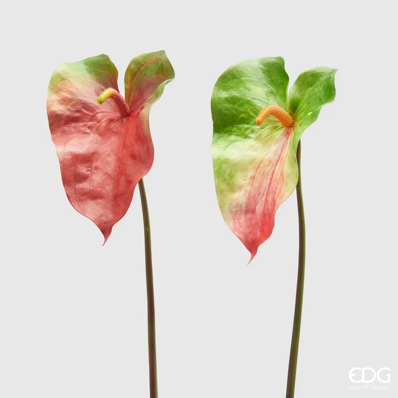 Bestseller EDG Enzo De Gasperi Set 2 Rami Artificiali di Anthurium H75 cm