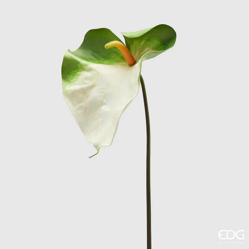 EDG Enzo De Gasperi Ramo Artificiale di Anthurium Jumbo H90 cm Bianco Promo Stagionale