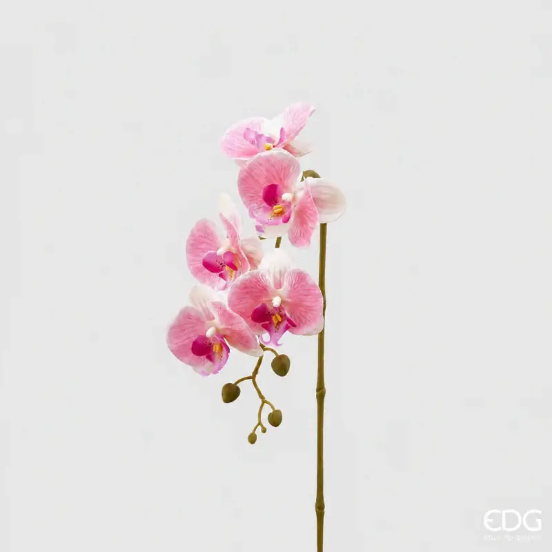 Economico EDG Enzo De Gasperi Ramo di Orchidea Phalaenopsis 3d x5 H70 cm Rosa