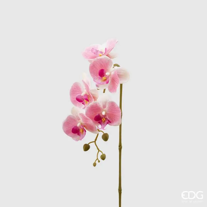 Prezzo Basso EDG Enzo De Gasperi Ramo Artificiale di Orchidea Phalaenopsis H76 cm Rosa
