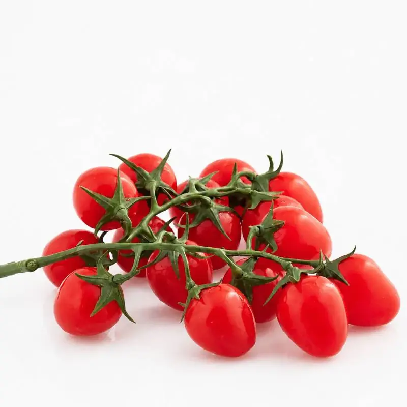 EDG Enzo De Gasperi Grappolo di Pomodori Ciliegino H20 cm Non Perdere