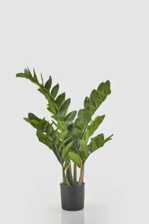 A Buon Prezzo EDG Enzo De Gasperi Pianta Artificiale Zamifolia con Vaso H70 cm