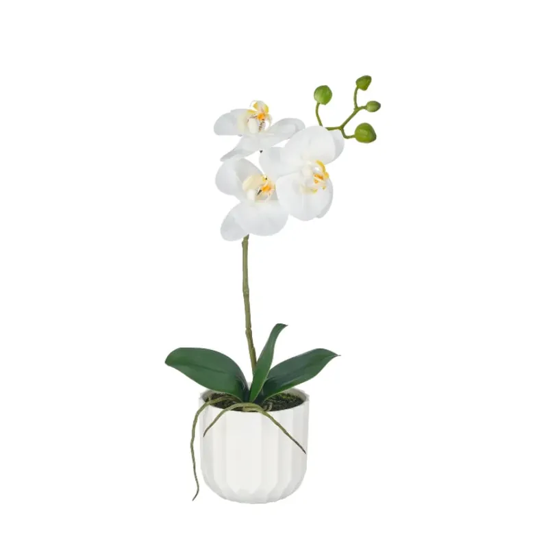 Gasper Pianta Artificiale Phalaenopsis H38 cm Real Touch con Vaso Compra Oggi Stesso
