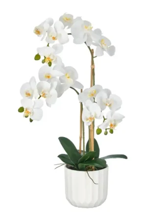 Gasper Pianta Artificiale Phalaenopsis x3 H65 cm Real Touch con Vaso Promo Stagionale