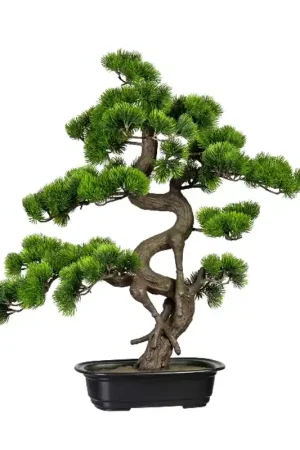 Occasione Imperdibile Gasper Bonsai Artificiale 65x50 cm con Vaso