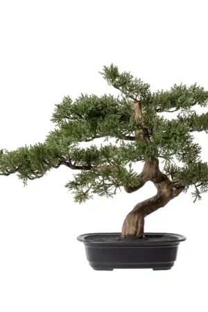 Gasper Bonsai Artificiale 40x40 cm con Vaso Sconto